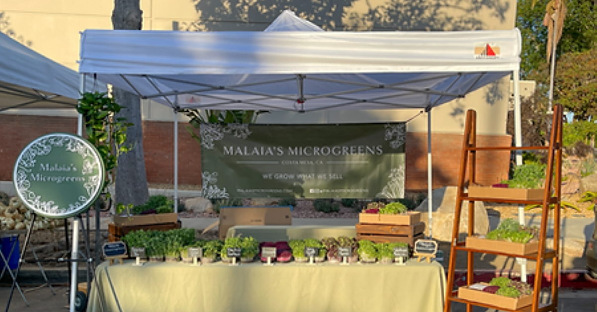Malaia's Microgreens growing tent